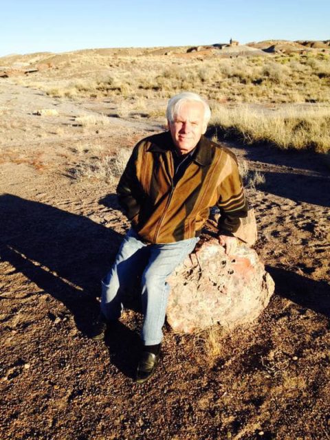 A visit to the Petrified Forest